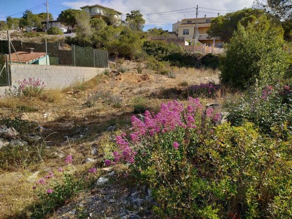 Terreno en Olèrdola