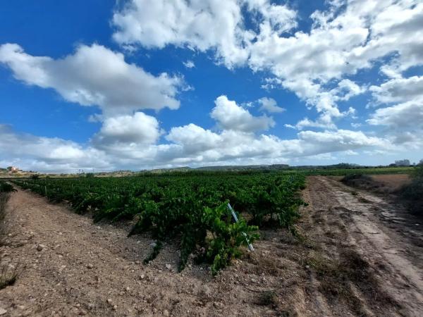 Terreno en Pol. Ind. Domenys