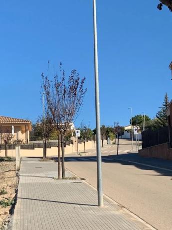 Terreno en calle Lluís Companys, 11