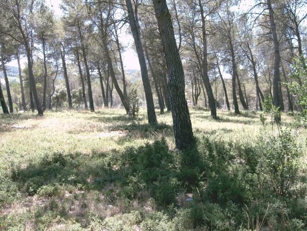 Terreno en Pontonets, 12