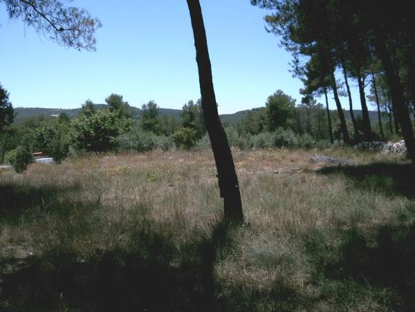 Terreno en Pontonets, 12