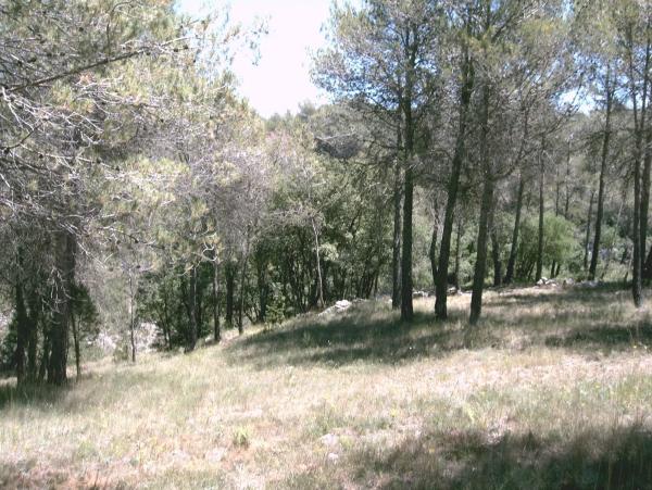 Terreno en Pontonets, 12