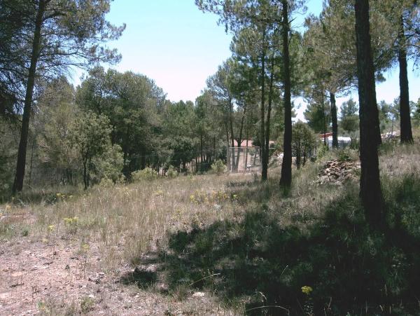 Terreno en Pontonets, 12