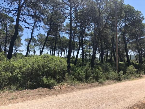 Terreno en Pontonets, 12