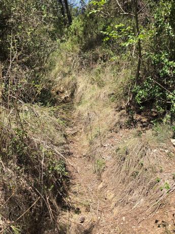 Terreno en Pontonets, 12