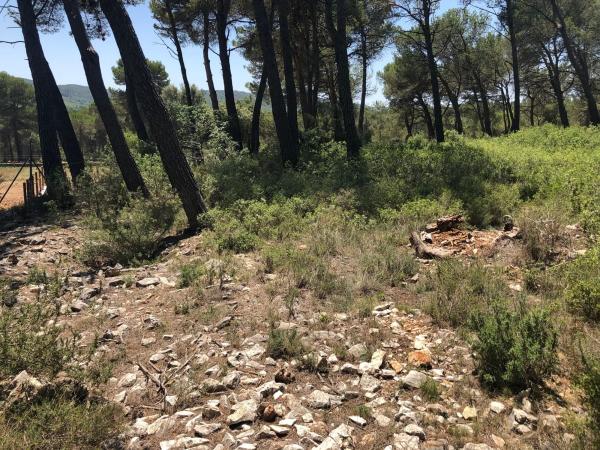 Terreno en Pontonets, 12