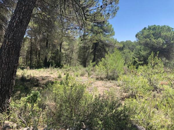 Terreno en Pontonets, 12