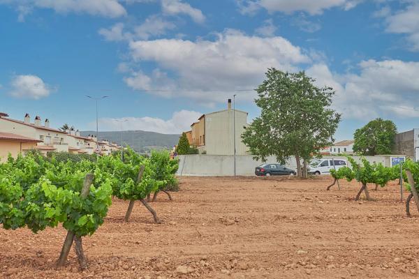 Terreno en calle Font del Cusco