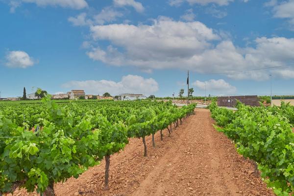 Terreno en calle Font del Cusco