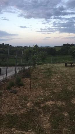 Terreno en paseo del Cava, 36