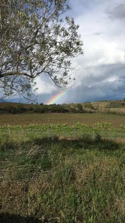 Terreno en paseo del Cava, 36