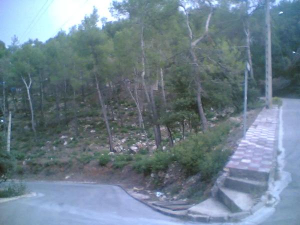 Terreno en calle catalonia, 640