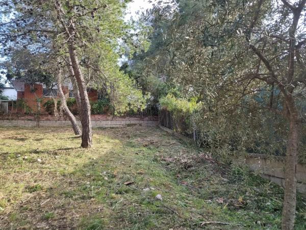 Terreno en calle dels Avellaners, 35