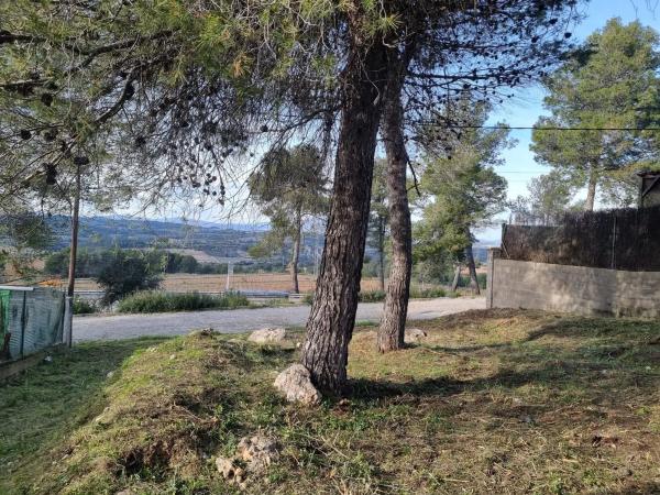 Terreno en calle dels Avellaners, 35