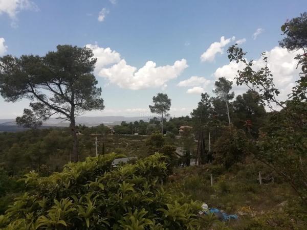 Terreno en calle Viella, 288 parcela