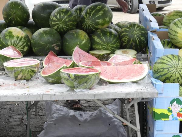 Terreno en calle Francolí, 33