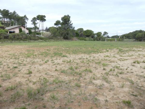 Terreno en calle Francolí, 33