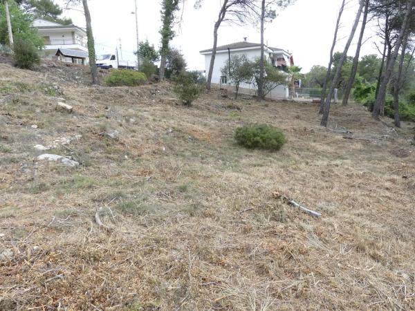 Terreno en calle Francolí, 33