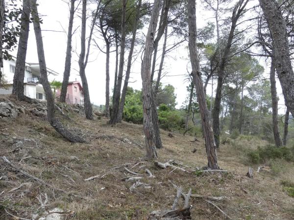 Terreno en calle Francolí, 33