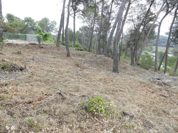 Terreno en calle Francolí, 33