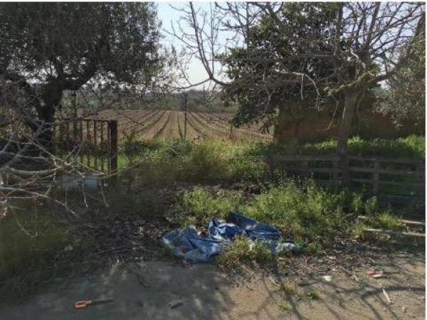 Terreno en Santa Margarida i els Monjos