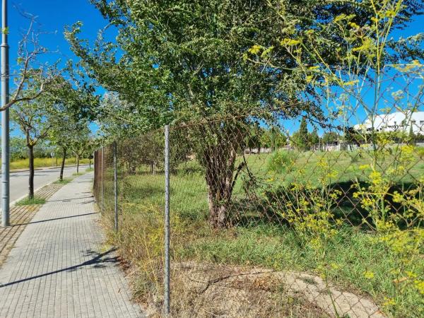 Terreno en avenida del Montmell, 49