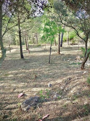 Terreno en calle Montserrat, 2106 -2107