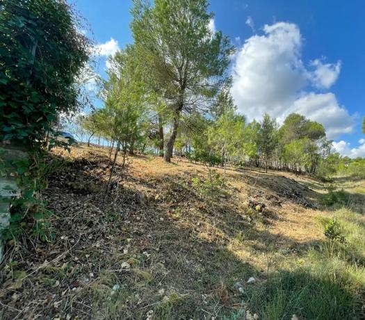 Terreno en calle Montserrat, 2106 -2107