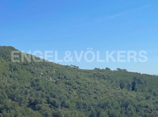 Terreno en Font-Rubí