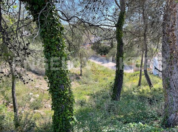 Terreno en Font-Rubí
