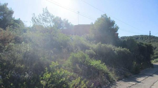 Terreno en calle de la Figuera, 50