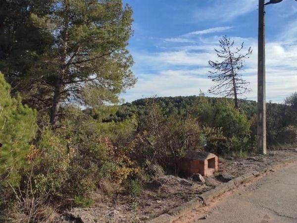 Terreno en calle Xiprers, 28