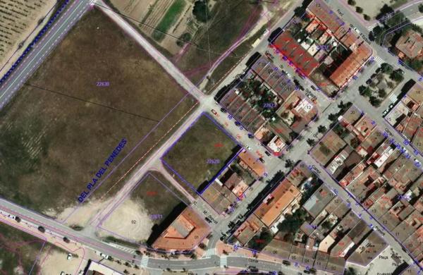 Terreno en camino de Cal Nadal