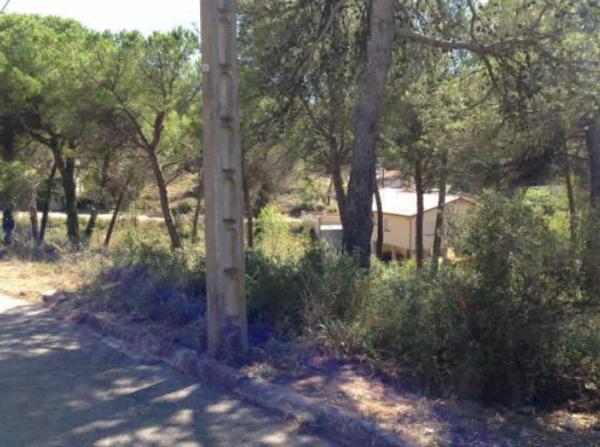 Terreno en calle de l'Oreneta