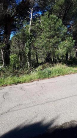 Terreno en calle de l'Oreneta