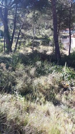 Terreno en calle de l'Oreneta