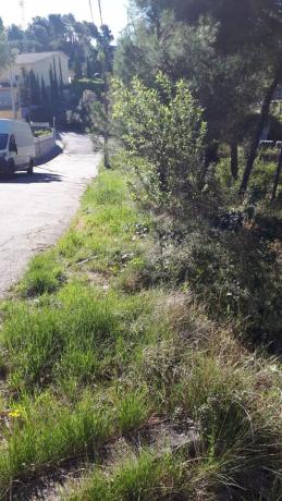Terreno en calle de l'Oreneta