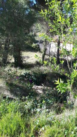 Terreno en calle de l'Oreneta