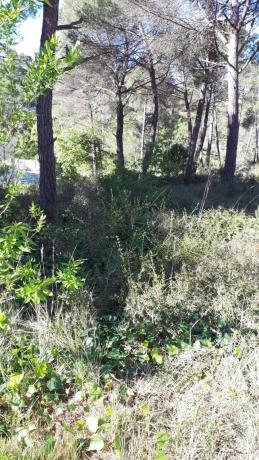 Terreno en calle de l'Oreneta