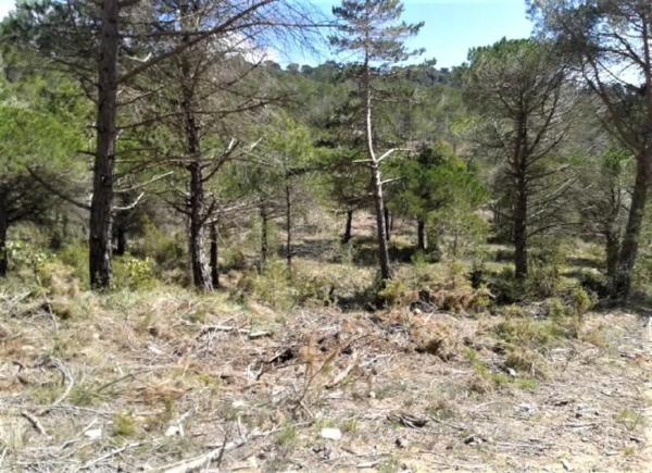 Terreno en Urbanitzacio la Rimbalda