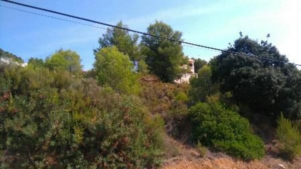 Terreno en calle Castanyer