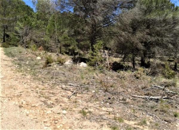 Terreno en Urbanitzacio la Rimbalda