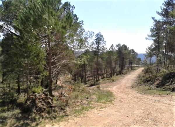 Terreno en Urbanitzacio la Rimbalda