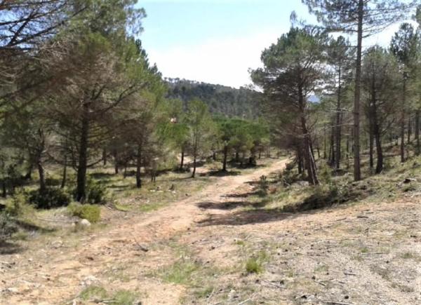 Terreno en Urbanitzacio la Rimbalda