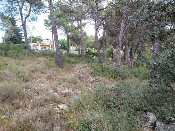 Terreno en calle Garsa, 6