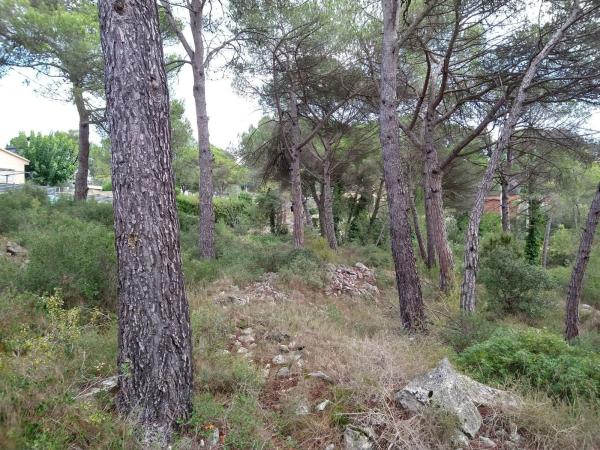 Terreno en calle Garsa, 6