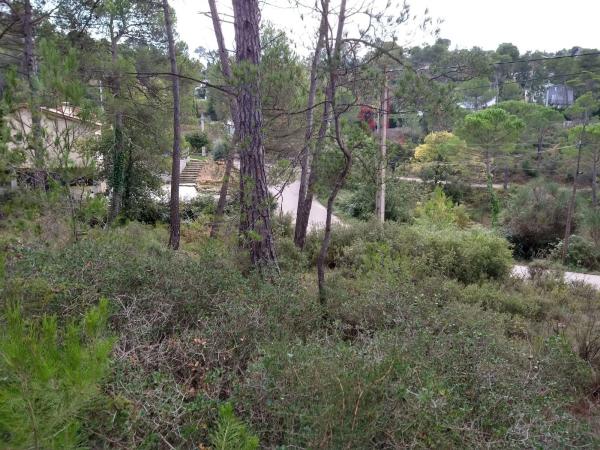 Terreno en calle Garsa, 6