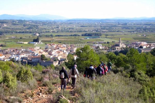 Terreno en camino de Roca Vidal s/n sn