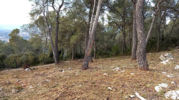 Terreno en Urbanització Martivell Polígon 2, 1081