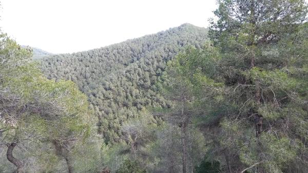 Terreno en Urbanització Martivell Polígon 2, 1081